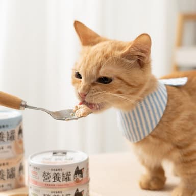 幼母貓營養主食罐 鮮嫩雞肉 55g